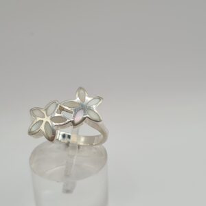 Anillo plata