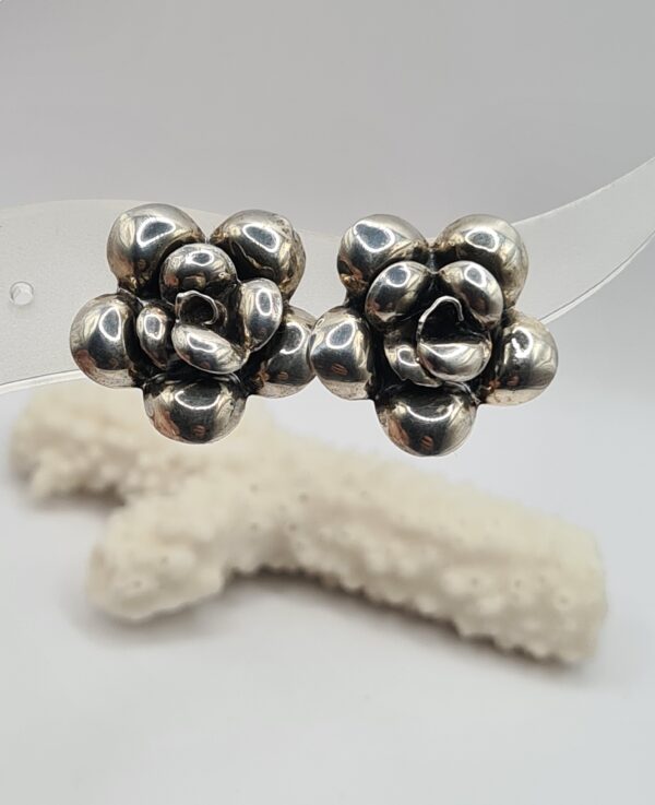 Aros plata