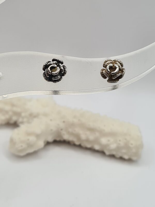 Aros plata