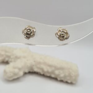 Aros plata