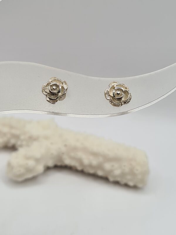 Aros plata