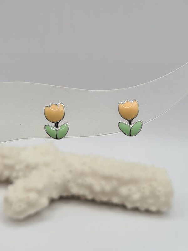 Aros plata