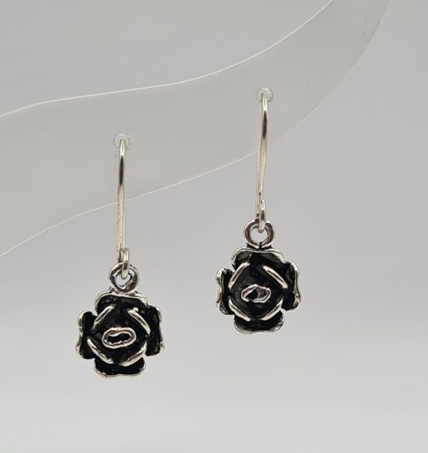 Aros plata